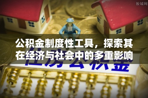 夷陵公积金制度性工具，探索其在经济与社会中的多重影响