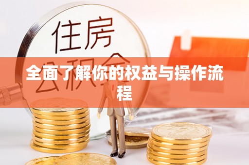 夷陵全面了解你的权益与操作流程