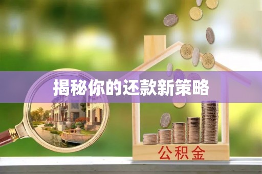 夷陵揭秘你的还款新策略