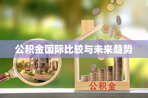 夷陵公积金国际比较与未来趋势