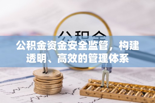 夷陵公积金资金安全监管，构建透明、高效的管理体系