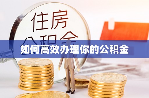 夷陵如何高效办理你的公积金