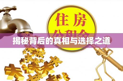 夷陵揭秘背后的真相与选择之道