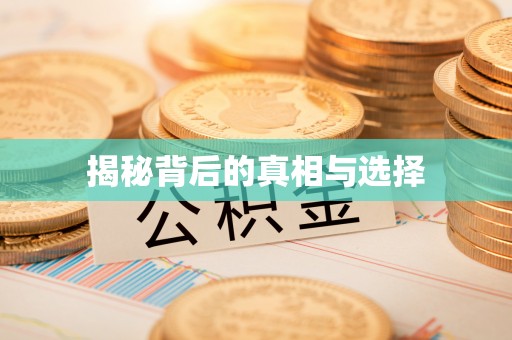 夷陵揭秘背后的真相与选择