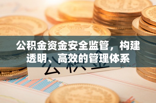 夷陵公积金资金安全监管，构建透明、高效的管理体系