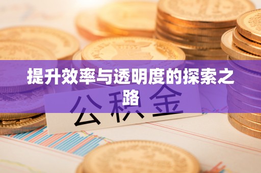 夷陵提升效率与透明度的探索之路