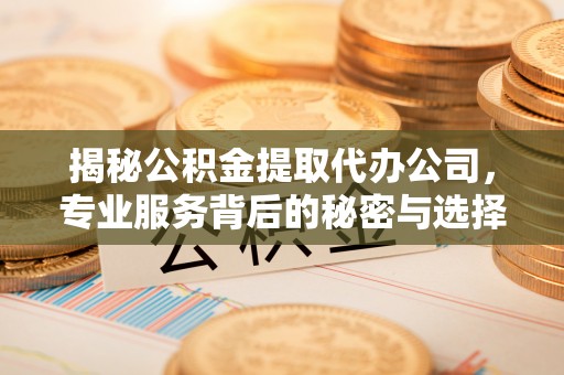 夷陵揭秘公积金提取代办公司，专业服务背后的秘密与选择指南