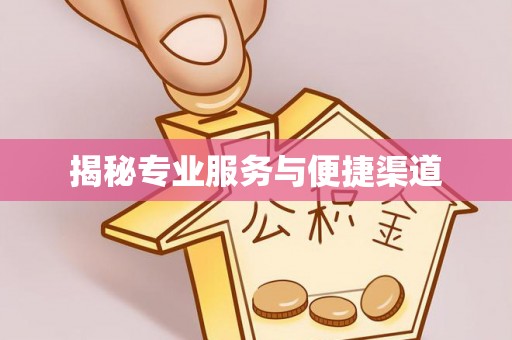 夷陵揭秘专业服务与便捷渠道