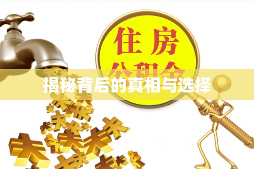 夷陵揭秘背后的真相与选择