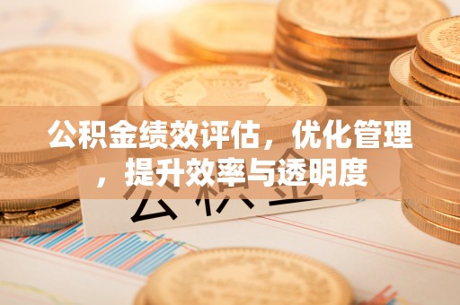 夷陵公积金绩效评估，优化管理，提升效率与透明度