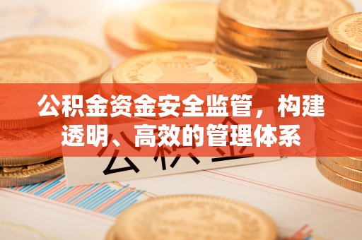 夷陵公积金资金安全监管，构建透明、高效的管理体系