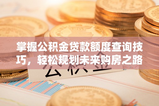 夷陵掌握公积金贷款额度查询技巧，轻松规划未来购房之路