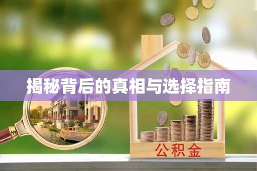 夷陵揭秘背后的真相与选择指南