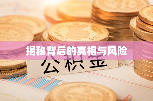 夷陵揭秘背后的真相与风险
