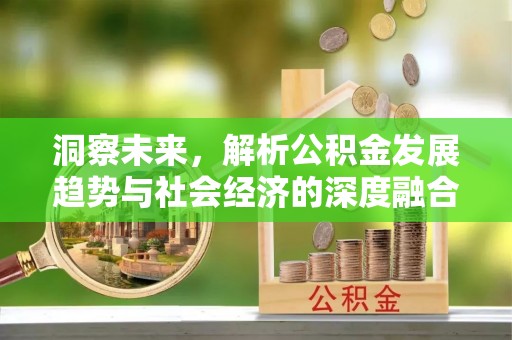 夷陵洞察未来，解析公积金发展趋势与社会经济的深度融合