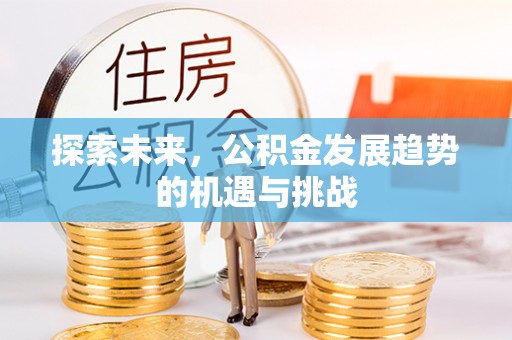 夷陵探索未来，公积金发展趋势的机遇与挑战