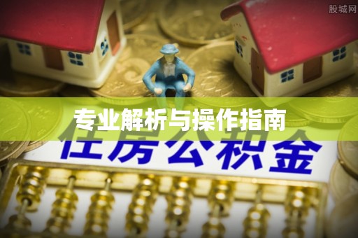 夷陵专业解析与操作指南