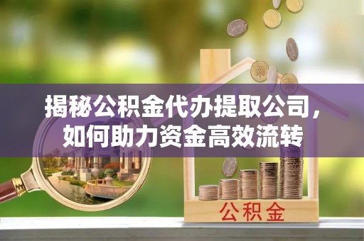 夷陵揭秘公积金代办提取公司，如何助力资金高效流转
