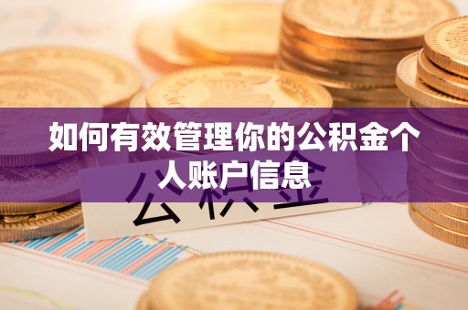 夷陵如何有效管理你的公积金个人账户信息