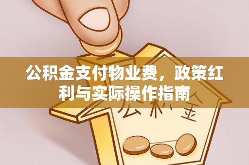 夷陵公积金支付物业费，政策红利与实际操作指南