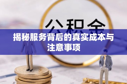 夷陵揭秘服务背后的真实成本与注意事项