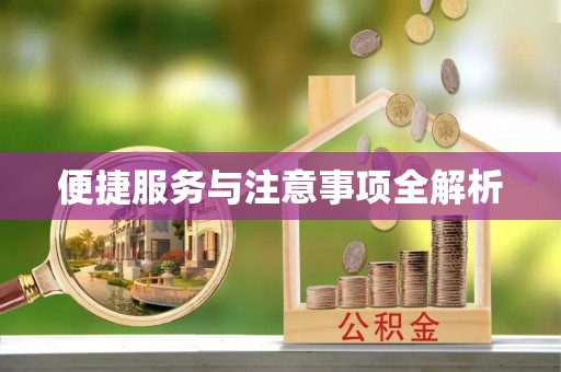 夷陵便捷服务与注意事项全解析