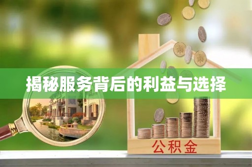 夷陵揭秘服务背后的利益与选择