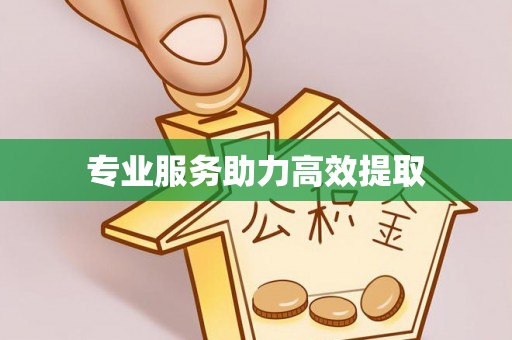 夷陵专业服务助力高效提取