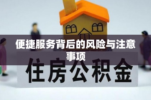 夷陵便捷服务背后的风险与注意事项